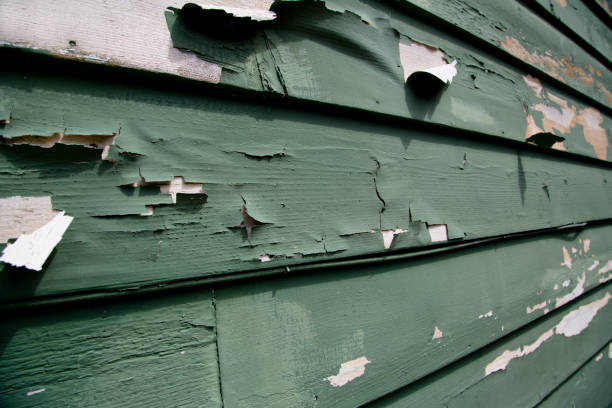 Siding Removal and Disposal in Edgewood, TX